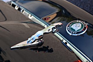 Illustration for article titled Birmingham, AL Cars and Coffee/Birmingham Motoring Club Car Show - 11/5/16